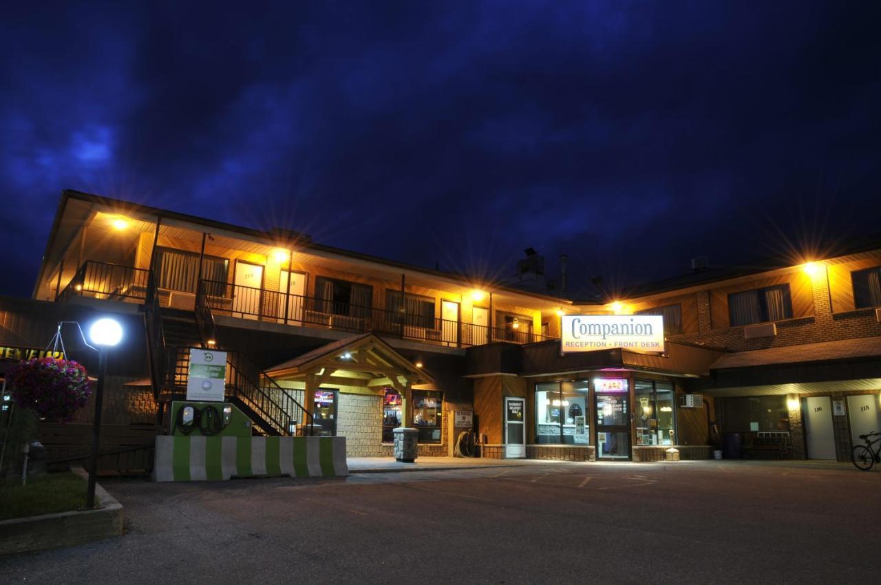 Companion Hotel Motel ハースト エクステリア 写真