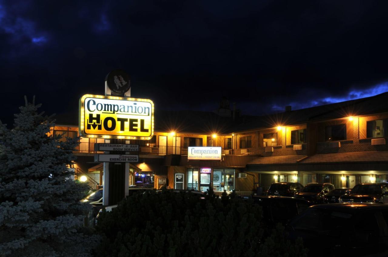 Companion Hotel Motel ハースト エクステリア 写真